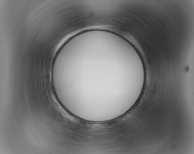 X0000110871436200906180958