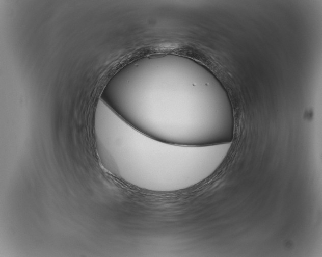 X0000110871441200906180958