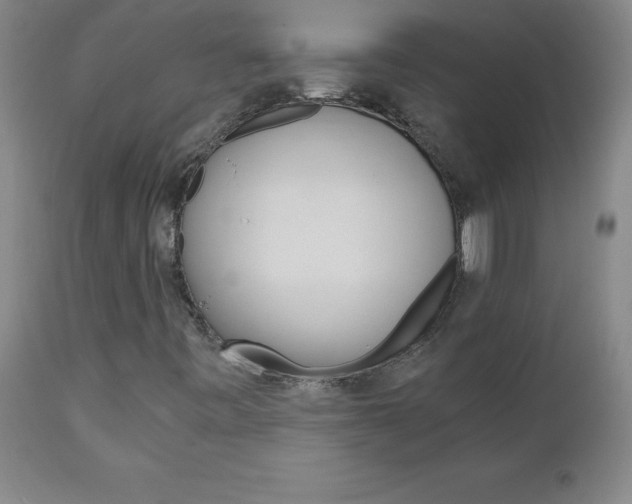 X0000110871443200906180958