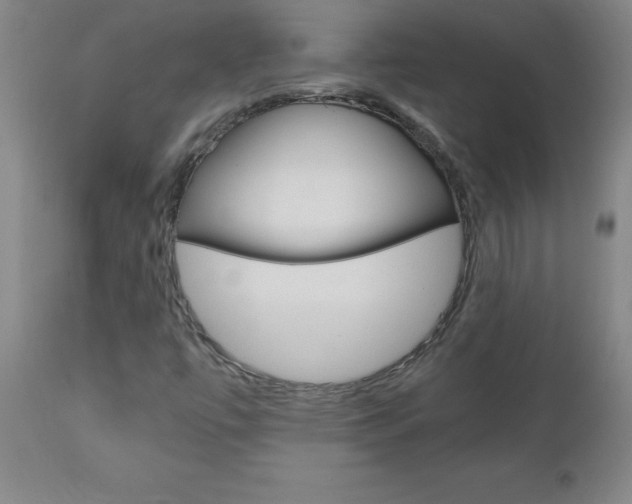 X0000110871447200906180958