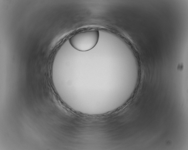 X0000110871448200906180958