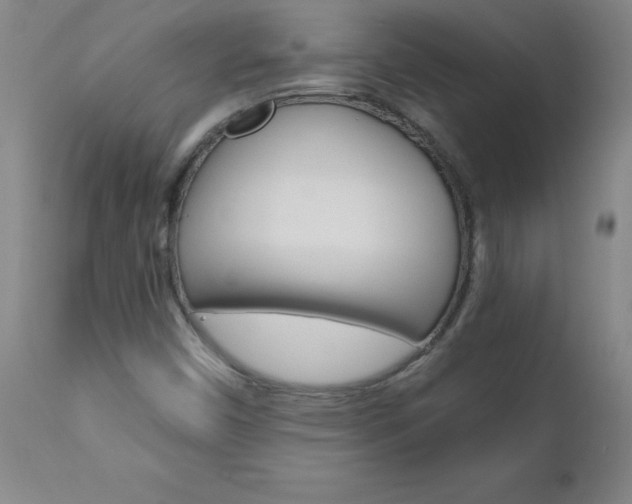 X0000110871450200906180958
