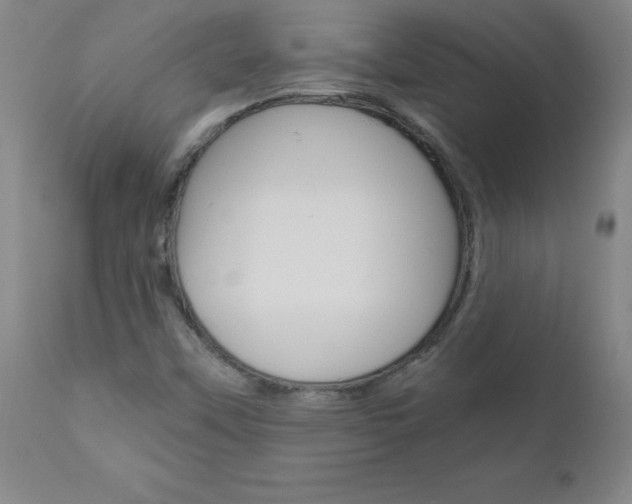 X0000110871451200906180958
