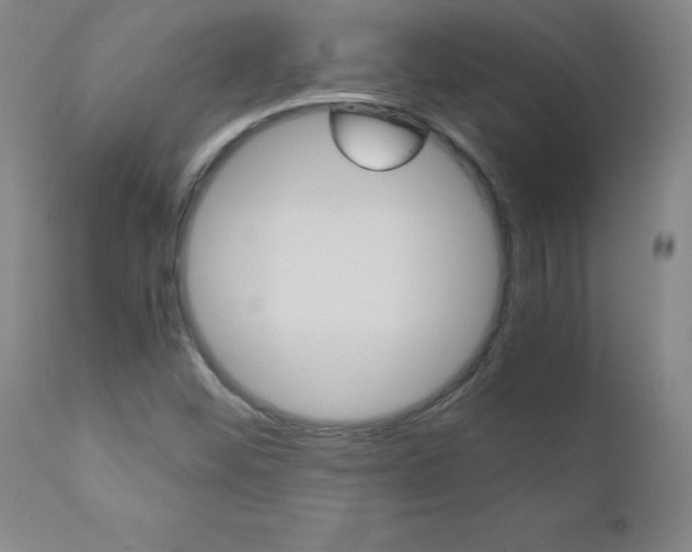 X0000110871452200906180958