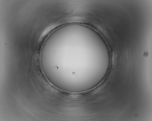 X0000110871453200906180958
