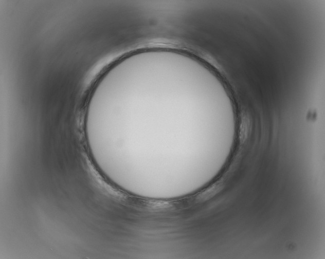 X0000110871454200906180958