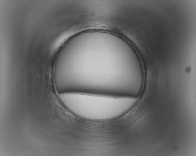 X0000110871455200906180958