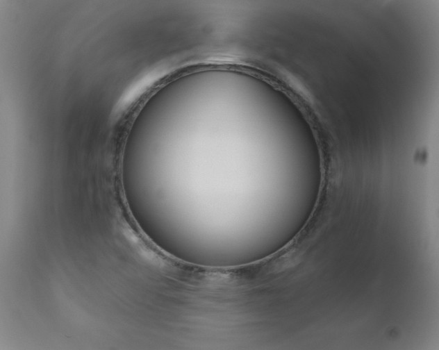X0000110871456200906180958
