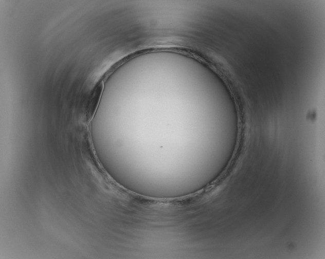 X0000110871457200906180958