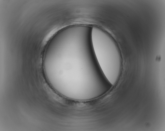 X0000110871459200906180958