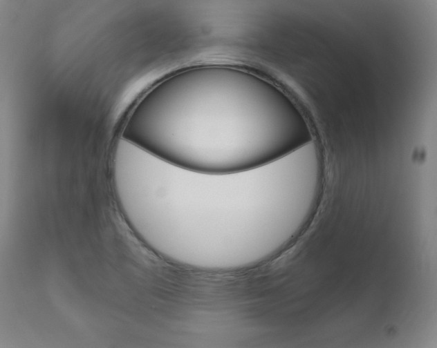 X0000110871461200906180957