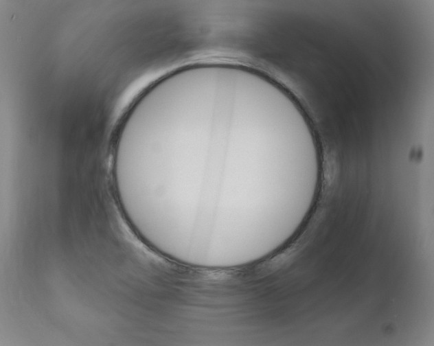 X0000110871462200906180957