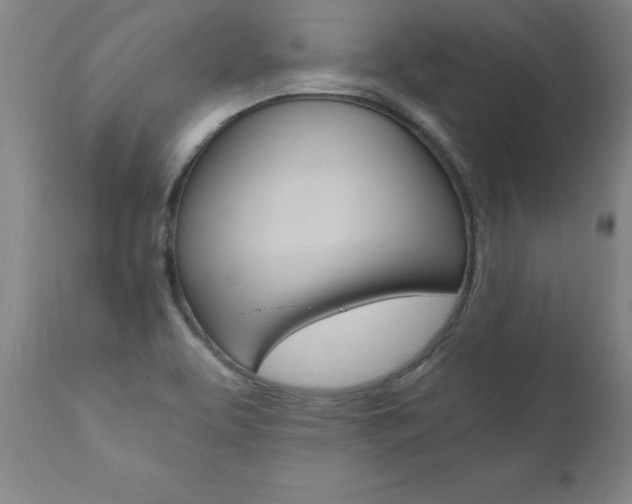 X0000110871463200906180957