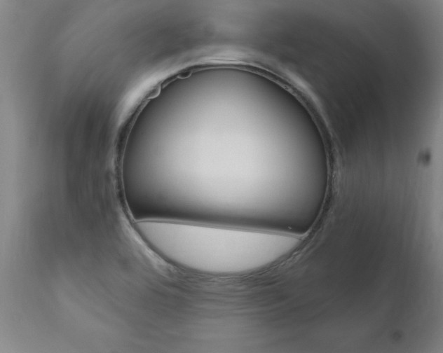 X0000110871464200906180957