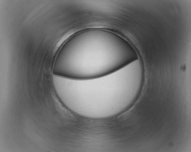 X0000110871465200906180957