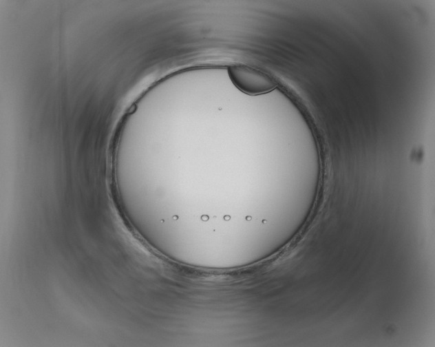 X0000110871467200906180957
