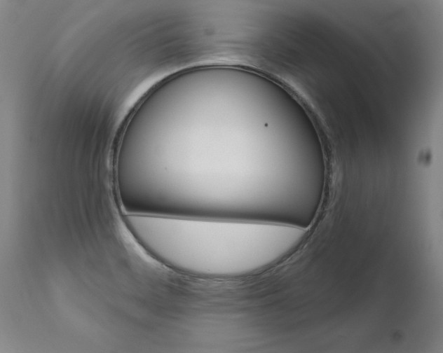 X0000110871468200906180957