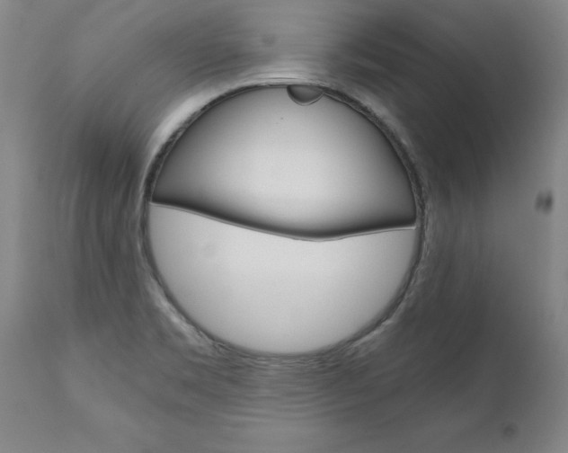 X0000110871469200906180957