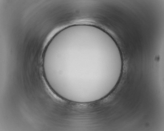 X0000110871470200906180957