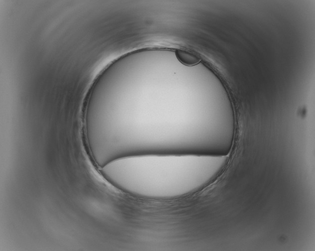 X0000110871471200906180957