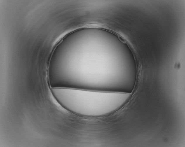 X0000110871476200906180957