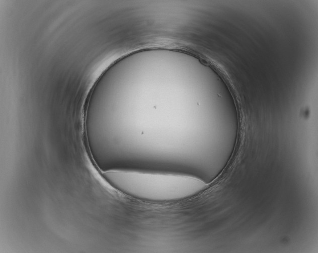 X0000110871479200906180957