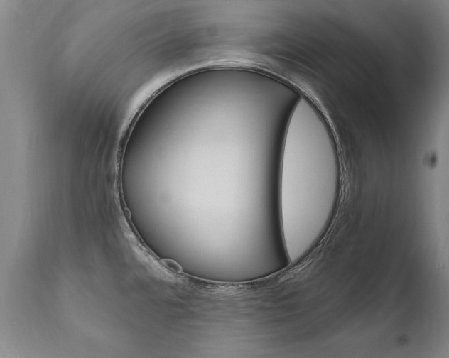 X0000110871480200906180957