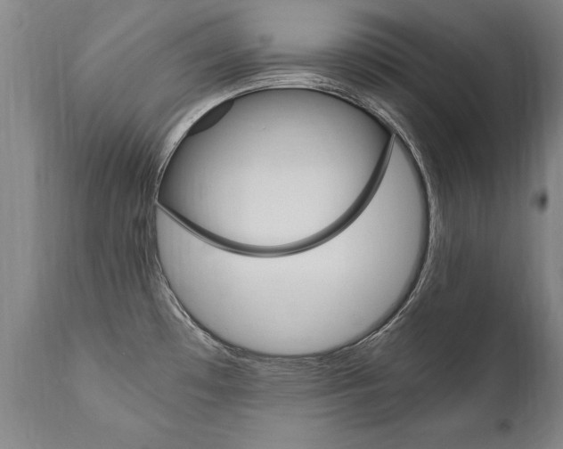 X0000110871481200906180957
