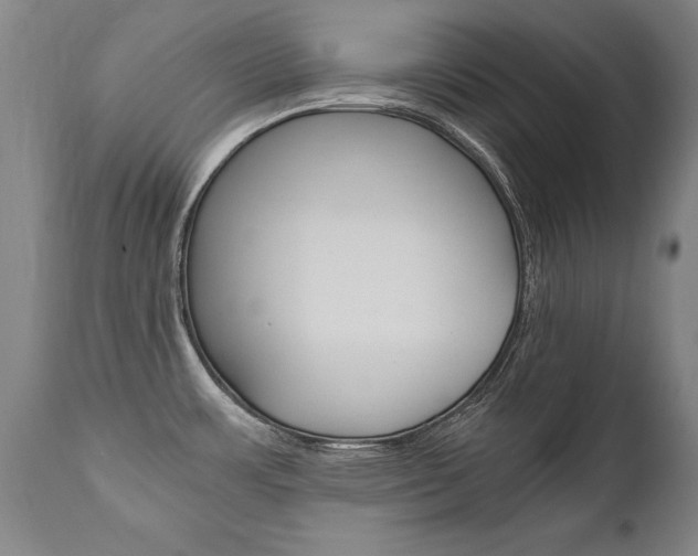 X0000110871483200906180957