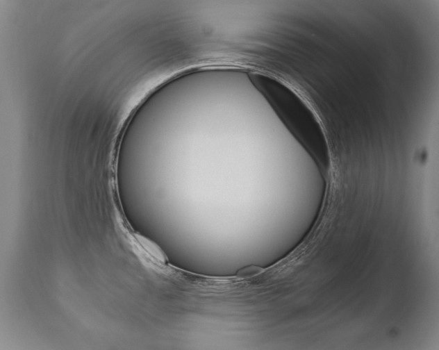 X0000110871485200906180957
