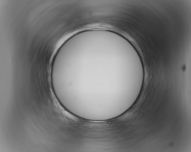 X0000110871486200906180957