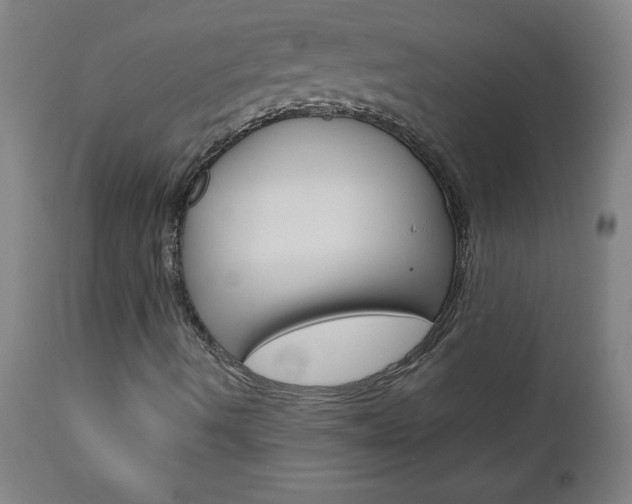 X0000110871490200906180956