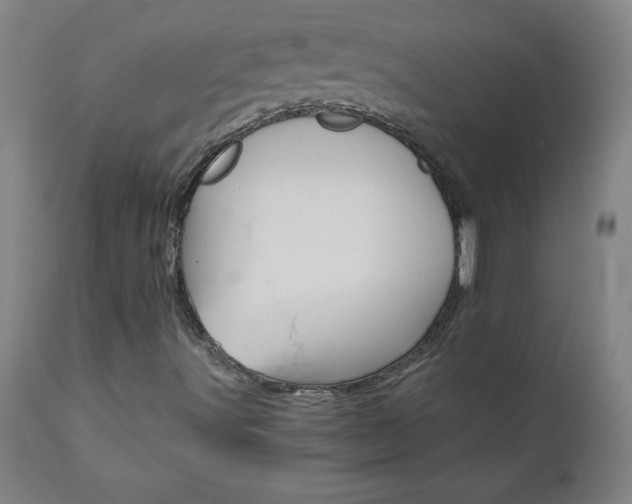 X0000110871491200906180956