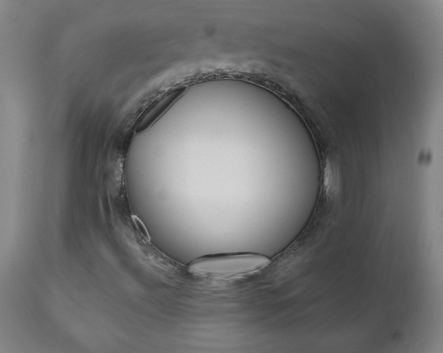 X0000110871492200906180956