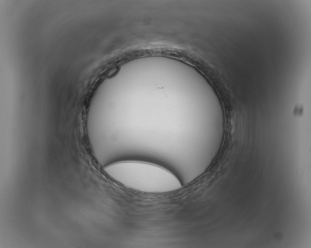 X0000110871493200906180956