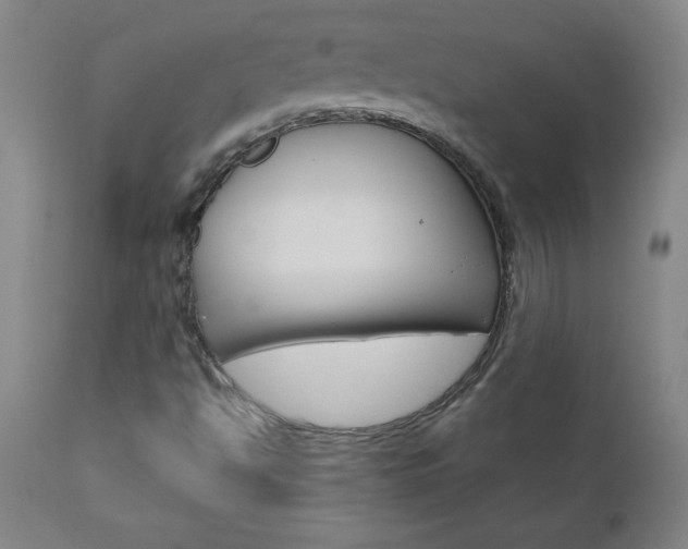 X0000110871494200906180956