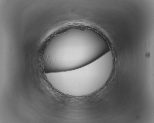 X0000110871496200906180956