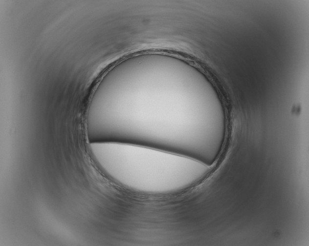 X0000110871497200906180956