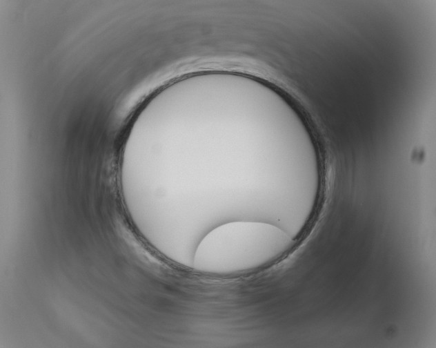 X0000110871498200906180956