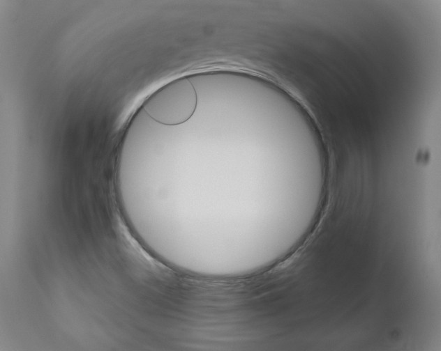 X0000110871500200906180956