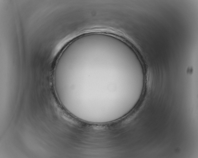 X0000110871501200906180956