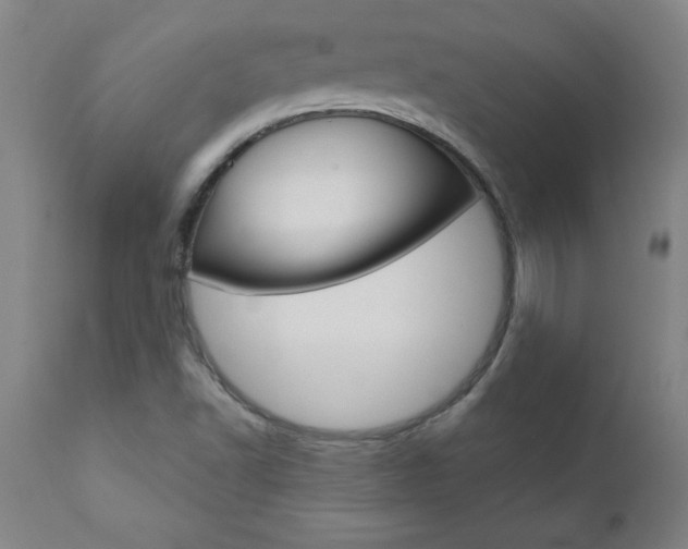 X0000110871502200906180956