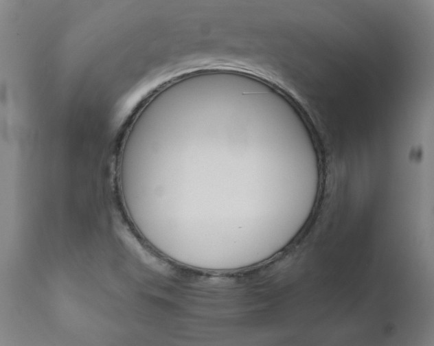 X0000110871503200906180956