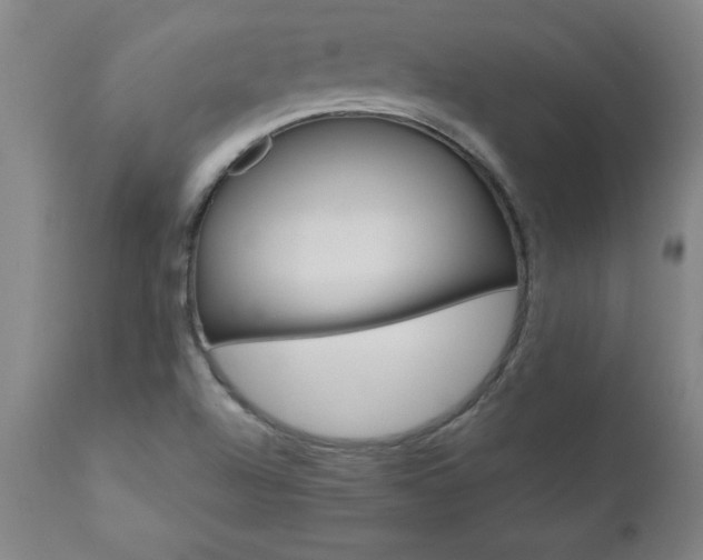 X0000110871504200906180956
