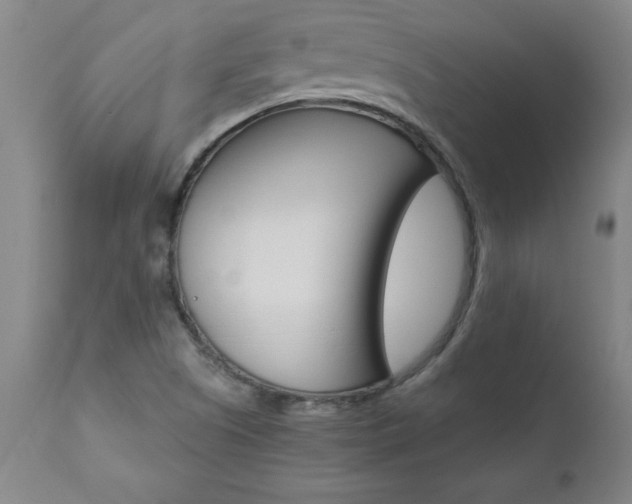 X0000110871505200906180957