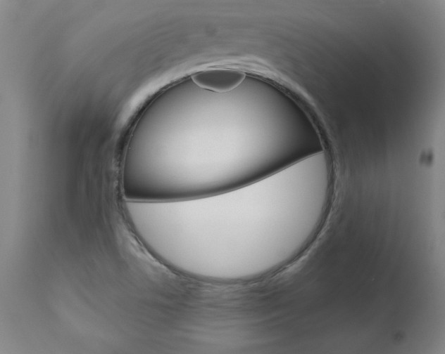 X0000110871506200906180957