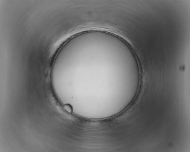 X0000110871507200906180957