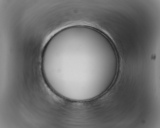 X0000110871508200906180957