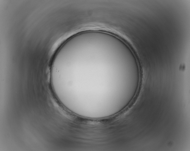 X0000110871509200906180957