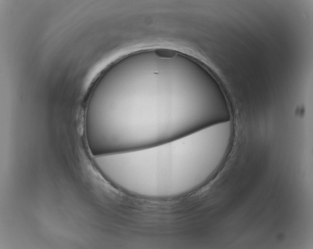 X0000110871510200906180957